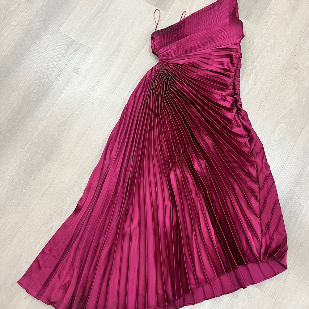 Elegant Burgundy Pleated Dress